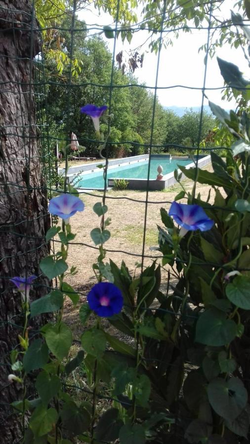 Poggio A Sieve Διαμέρισμα Villore Εξωτερικό φωτογραφία